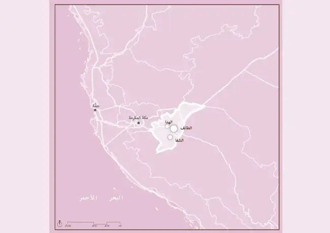 خرائط توزيع الأنماط المعمارية